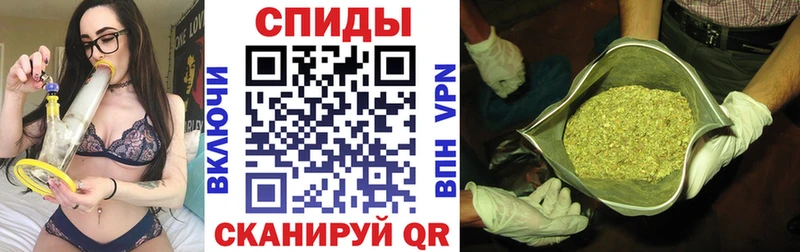 Бутират буратино  Семёнов 